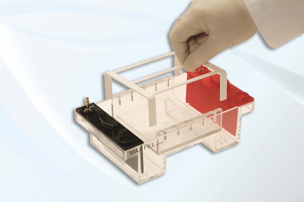 Cool-Pack and Platform for MultiSUB Maxi Horizontal Gel Unit